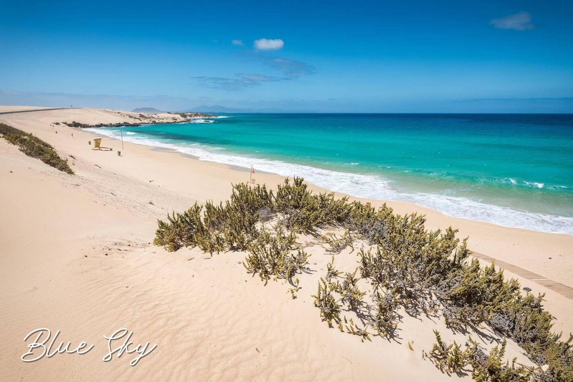Corralejo Sun 335 Blue Sky By Rentalfue Екстер'єр фото